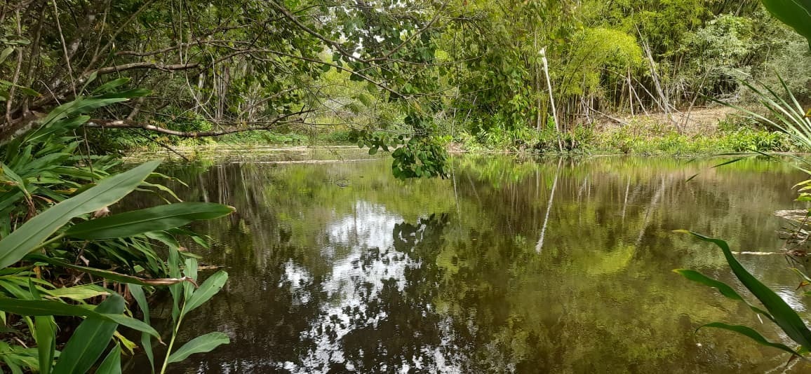 EXCELENTE FAZENDA COM 138 HECTARES NO MUNICIPIO DE PASSOS/MG DISPONIVEL Á VENDA - Localizada á 25km de Passos e 20km de — foto 3