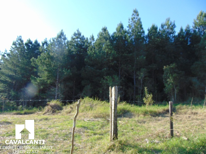 Terreno à venda, 75000m² - Foto 7