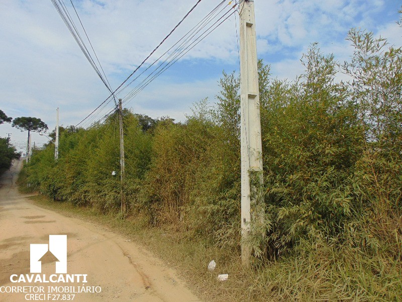 Terreno à venda, 12100m² - Foto 2