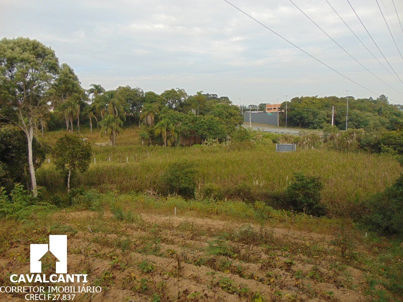 Terreno à venda, 12100m² - Foto 6