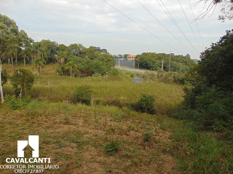 Terreno à venda, 12100m² - Foto 7