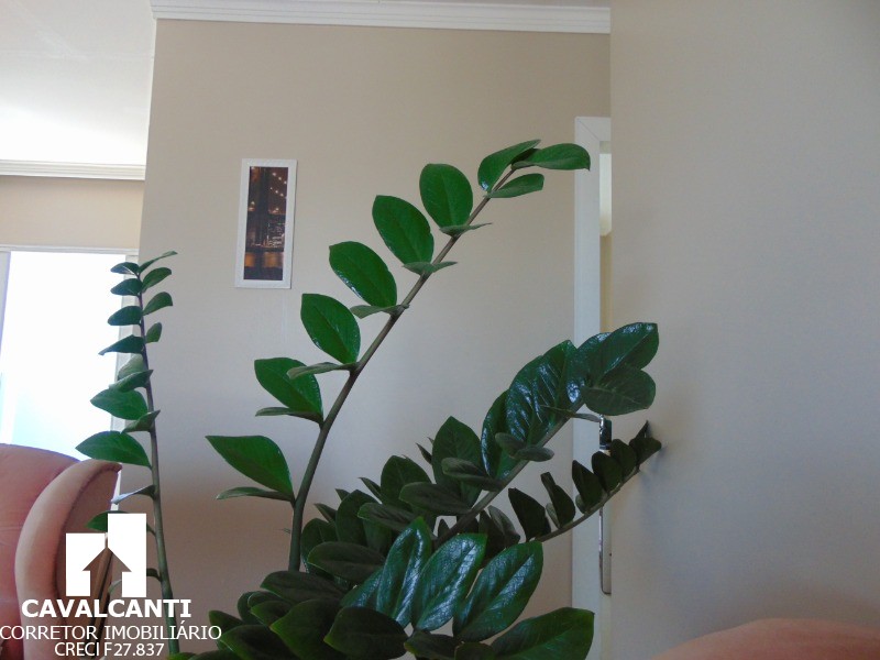 Casa, 2 quartos, 60 m² - Foto 16