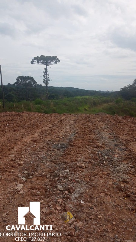 Loteamento e Condomínio à venda e aluguel, 40700m² - Foto 4