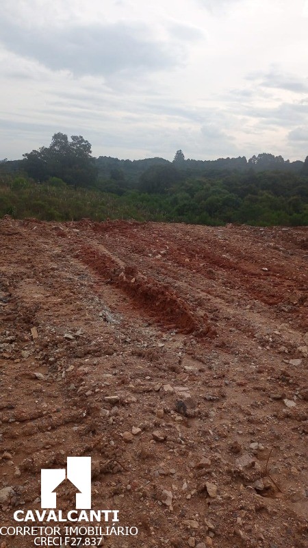 Loteamento e Condomínio à venda e aluguel, 40700m² - Foto 2