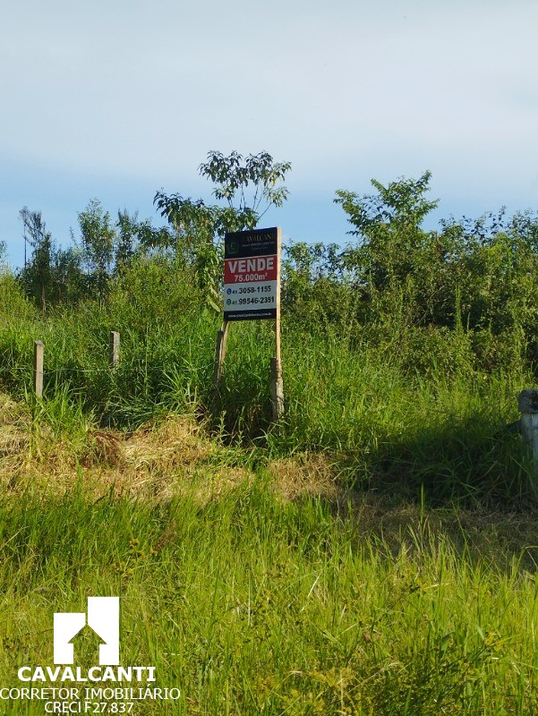 Terreno à venda, 75000m² - Foto 41