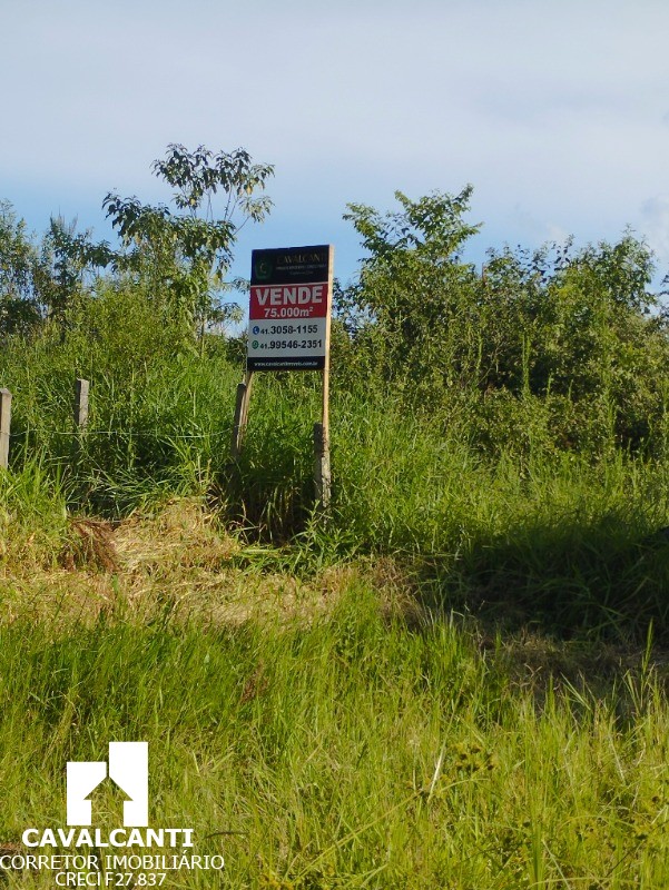 Terreno à venda, 75000m² - Foto 40