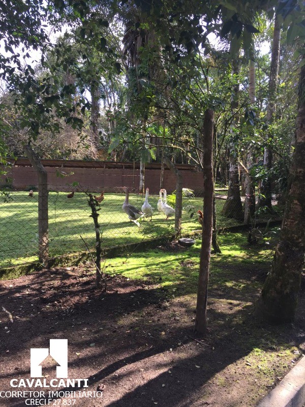 Casa, 10 quartos, 600 m² - Foto 18