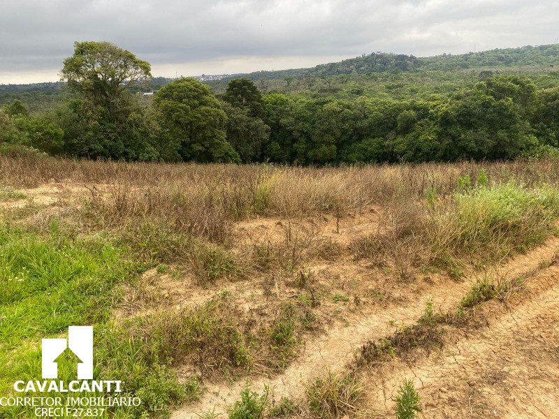 Fazenda, 17 hectares - Foto 7