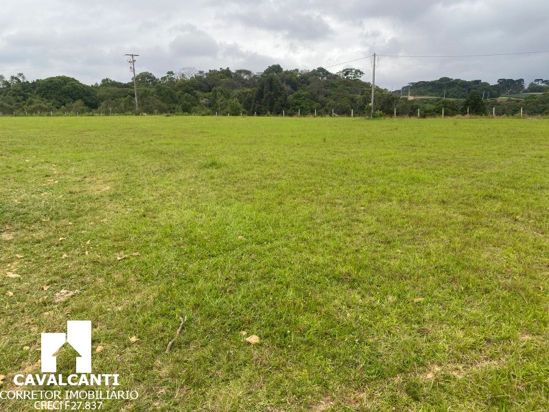 Fazenda, 17 hectares - Foto 8