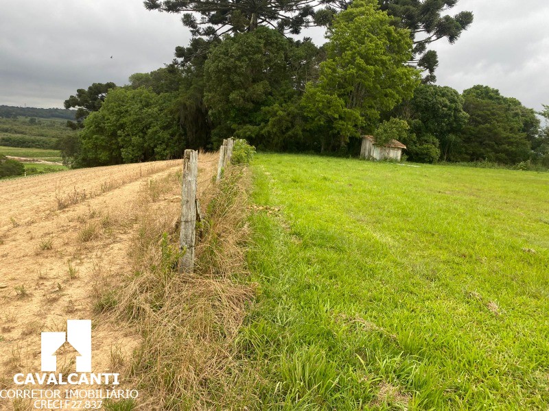 Fazenda, 17 hectares - Foto 9
