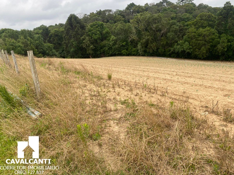 Fazenda, 17 hectares - Foto 11