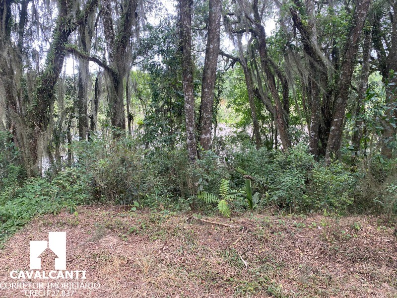 Fazenda, 17 hectares - Foto 12