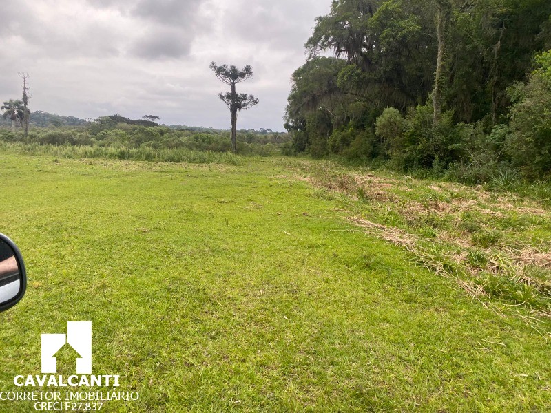 Fazenda, 17 hectares - Foto 17