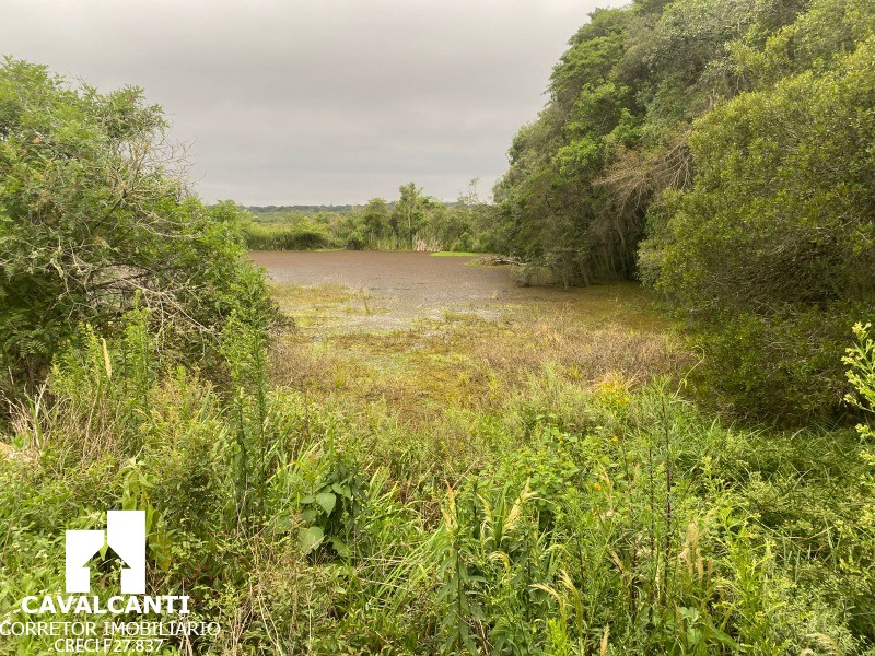Fazenda, 17 hectares - Foto 19