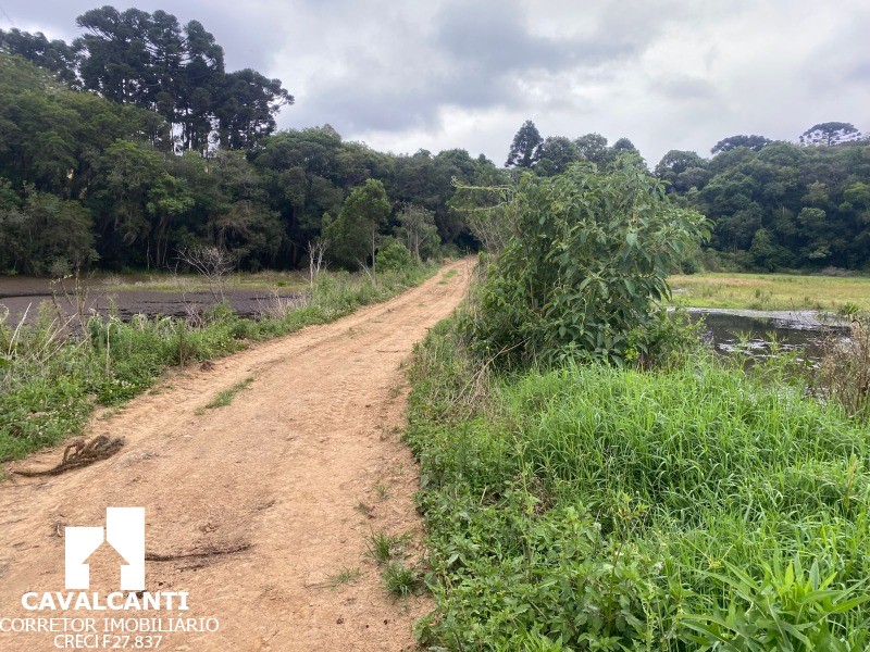 Fazenda, 17 hectares - Foto 22