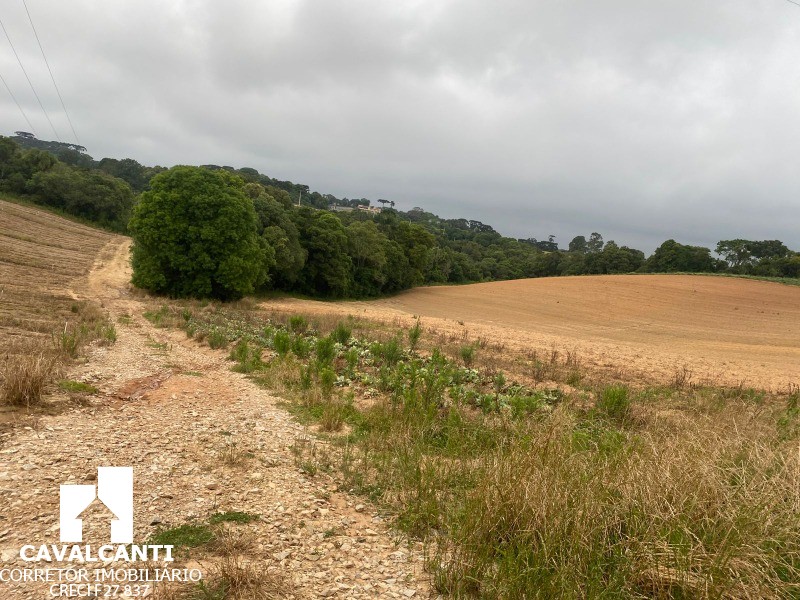 Fazenda, 17 hectares - Foto 26