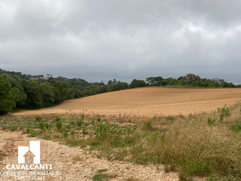 Fazenda, 17 hectares - Foto 27