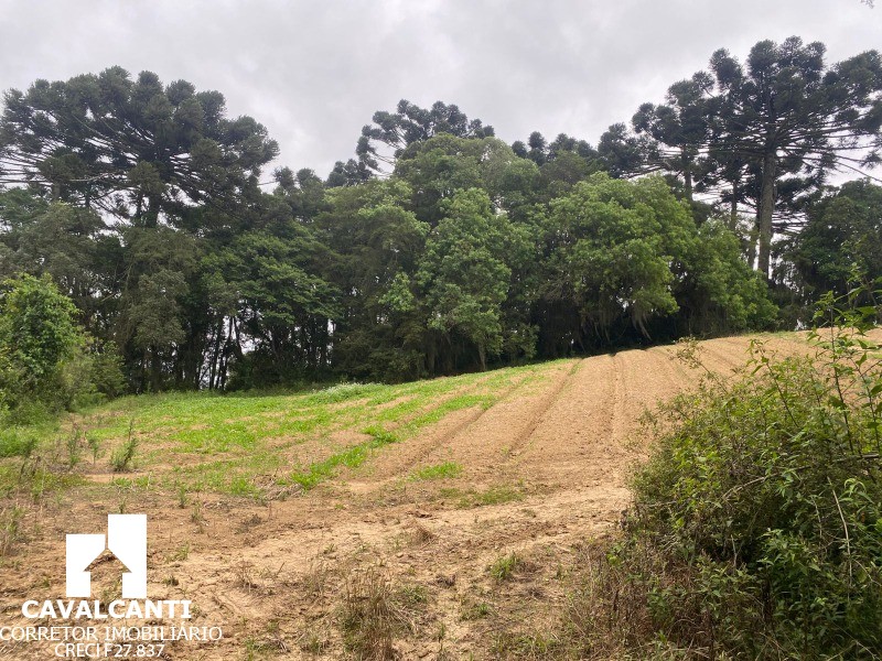 Terreno, 17 hectares - Foto 13