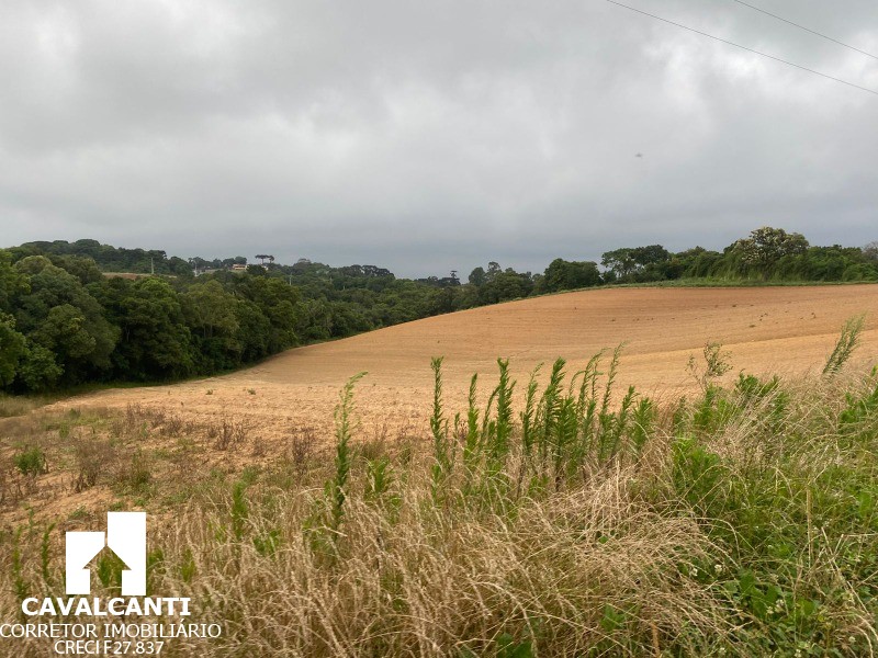 Terreno, 17 hectares - Foto 25