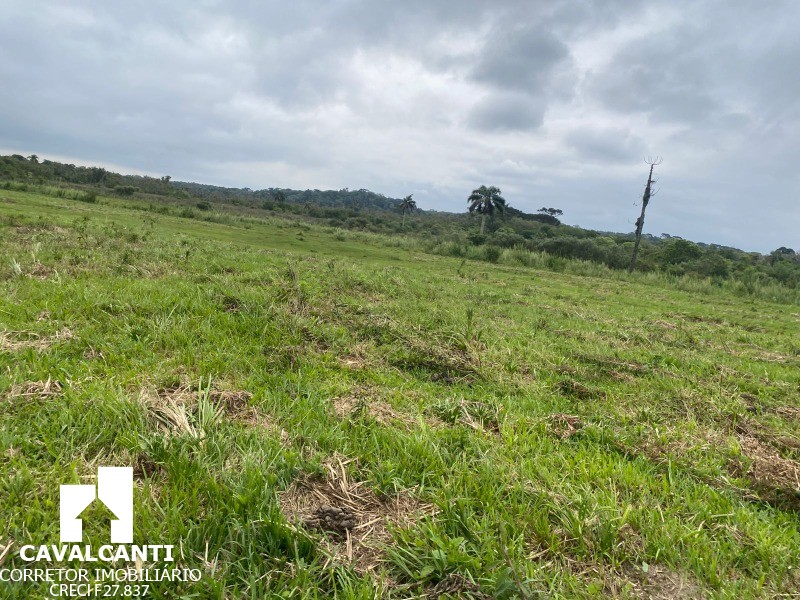 Terreno, 17 hectares - Foto 18