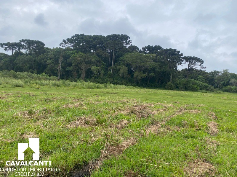 Terreno, 17 hectares - Foto 20