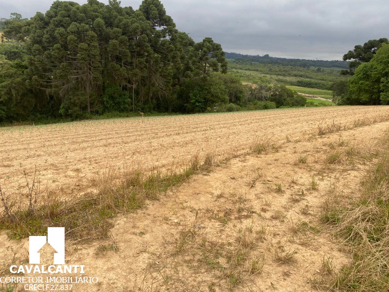 Terreno, 17 hectares - Foto 10