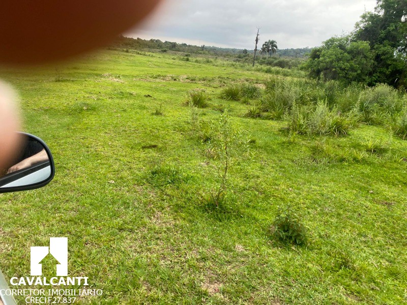 Terreno, 17 hectares - Foto 15