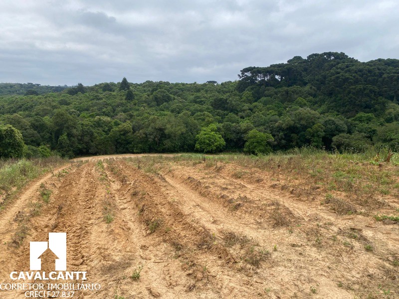 Terreno, 17 hectares - Foto 6
