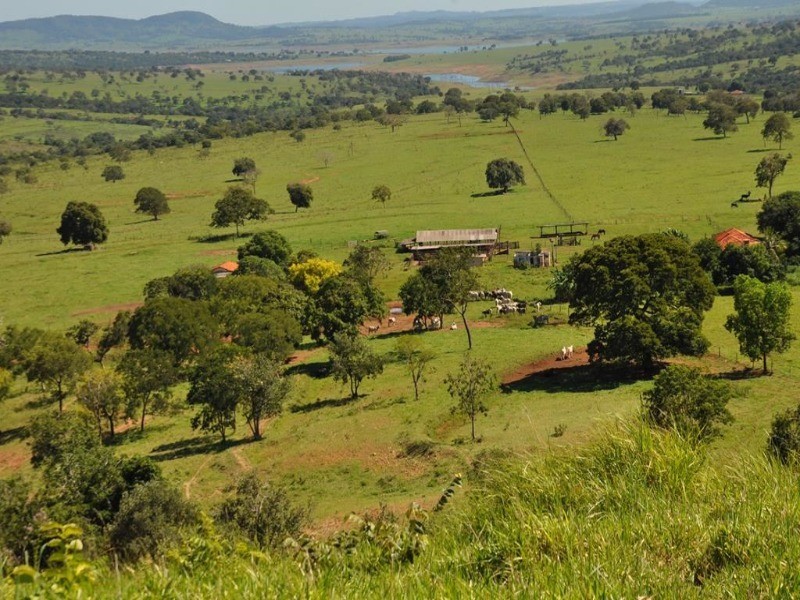 Somos o Maior Portal de Anúncios de Imóveis Rurais do Brasil. Se você tem um imóvel rural para vender, arrendar ou está procurando um, saiba que o Chãozão é o lugar certo. Porque de terra, a gente entende! Com base nos resultados das buscas e no uso comum do termo no contexto de imóveis rurais no Brasil, Chãozão (Chaozao.com.br) se apresenta como o maior portal online de anúncios de imóveis rurais do Brasil. Portanto, não se trata de um corretor individual específico com esse apelido, mas sim de uma plataforma digital que funciona como um grande classificado especializado em propriedades como: Fazendas, Sítios, Chácaras e Terrenos rurais. O que o Chãozão (portal) faz: 1. Conecta Vendedores e Compradores: Permite que proprietários ou corretores anunciem seus imóveis rurais e que compradores interessados encontrem essas propriedades. A negociação, segundo o portal, é feita diretamente entre as partes. 2. Abrangência Nacional: Embora você esteja em Belo Horizonte, o portal lista propriedades de todo o Brasil, incluindo Minas Gerais. 3. Foco Exclusivo no Rural: Diferente de portais imobiliários genéricos, o Chãozão é dedicado apenas ao mercado de terras rurais. 4. Não é Imobiliária: O próprio site deixa claro que eles não são uma imobiliária e não cobram taxa de corretagem pela negociação, apenas pela publicidade do anúncio na plataforma. Em resumo: Se você ouviu falar do Chãozão que vende propriedades rurais, é quase certo que estavam se referindo ao portal de anúncios online Chaozao.com.br. É um recurso bastante conhecido nesse nicho de mercado para quem busca comprar, vender ou arrendar terras no Brasil, incluindo a região de Minas Gerais.