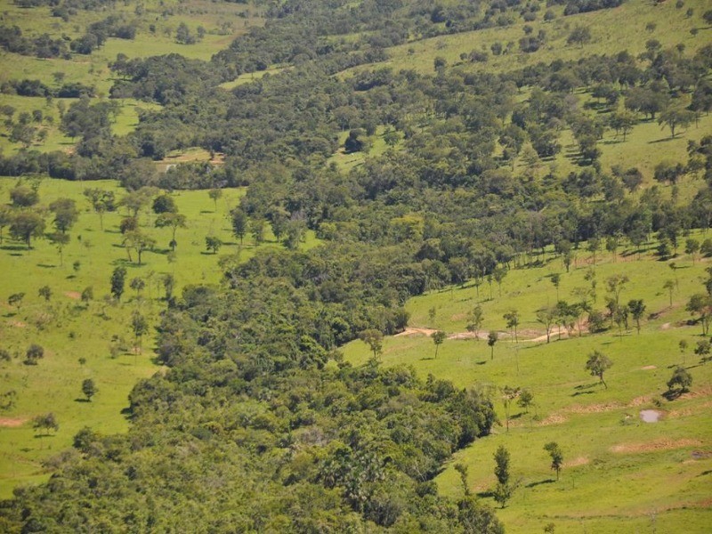 Somos o Maior Portal de Anúncios de Imóveis Rurais do Brasil. Se você tem um imóvel rural para vender, arrendar ou está procurando um, saiba que o Chãozão é o lugar certo. Porque de terra, a gente entende! Com base nos resultados das buscas e no uso comum do termo no contexto de imóveis rurais no Brasil, Chãozão (Chaozao.com.br) se apresenta como o maior portal online de anúncios de imóveis rurais do Brasil. Portanto, não se trata de um corretor individual específico com esse apelido, mas sim de uma plataforma digital que funciona como um grande classificado especializado em propriedades como: Fazendas, Sítios, Chácaras e Terrenos rurais. O que o Chãozão (portal) faz: 1. Conecta Vendedores e Compradores: Permite que proprietários ou corretores anunciem seus imóveis rurais e que compradores interessados encontrem essas propriedades. A negociação, segundo o portal, é feita diretamente entre as partes. 2. Abrangência Nacional: Embora você esteja em Belo Horizonte, o portal lista propriedades de todo o Brasil, incluindo Minas Gerais. 3. Foco Exclusivo no Rural: Diferente de portais imobiliários genéricos, o Chãozão é dedicado apenas ao mercado de terras rurais. 4. Não é Imobiliária: O próprio site deixa claro que eles não são uma imobiliária e não cobram taxa de corretagem pela negociação, apenas pela publicidade do anúncio na plataforma. Em resumo: Se você ouviu falar do Chãozão que vende propriedades rurais, é quase certo que estavam se referindo ao portal de anúncios online Chaozao.com.br. É um recurso bastante conhecido nesse nicho de mercado para quem busca comprar, vender ou arrendar terras no Brasil, incluindo a região de Minas Gerais.
