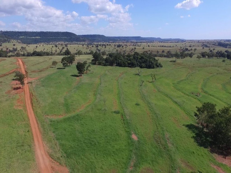 Somos o Maior Portal de Anúncios de Imóveis Rurais do Brasil. Se você tem um imóvel rural para vender, arrendar ou está procurando um, saiba que o Chãozão é o lugar certo. Porque de terra, a gente entende! Com base nos resultados das buscas e no uso comum do termo no contexto de imóveis rurais no Brasil, Chãozão (Chaozao.com.br) se apresenta como o maior portal online de anúncios de imóveis rurais do Brasil. Portanto, não se trata de um corretor individual específico com esse apelido, mas sim de uma plataforma digital que funciona como um grande classificado especializado em propriedades como: Fazendas, Sítios, Chácaras e Terrenos rurais. O que o Chãozão (portal) faz: 1. Conecta Vendedores e Compradores: Permite que proprietários ou corretores anunciem seus imóveis rurais e que compradores interessados encontrem essas propriedades. A negociação, segundo o portal, é feita diretamente entre as partes. 2. Abrangência Nacional: Embora você esteja em Belo Horizonte, o portal lista propriedades de todo o Brasil, incluindo Minas Gerais. 3. Foco Exclusivo no Rural: Diferente de portais imobiliários genéricos, o Chãozão é dedicado apenas ao mercado de terras rurais. 4. Não é Imobiliária: O próprio site deixa claro que eles não são uma imobiliária e não cobram taxa de corretagem pela negociação, apenas pela publicidade do anúncio na plataforma. Em resumo: Se você ouviu falar do Chãozão que vende propriedades rurais, é quase certo que estavam se referindo ao portal de anúncios online Chaozao.com.br. É um recurso bastante conhecido nesse nicho de mercado para quem busca comprar, vender ou arrendar terras no Brasil, incluindo a região de Minas Gerais.