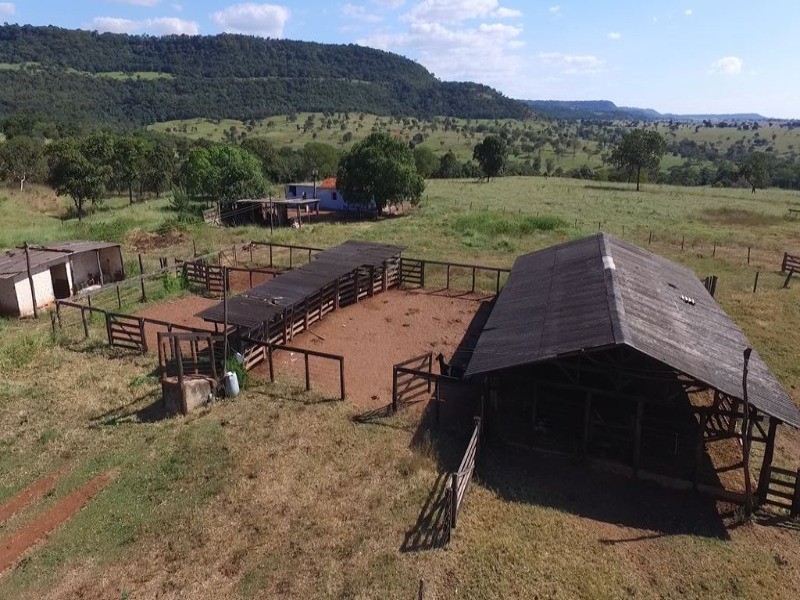 Somos o Maior Portal de Anúncios de Imóveis Rurais do Brasil. Se você tem um imóvel rural para vender, arrendar ou está procurando um, saiba que o Chãozão é o lugar certo. Porque de terra, a gente entende! Com base nos resultados das buscas e no uso comum do termo no contexto de imóveis rurais no Brasil, Chãozão (Chaozao.com.br) se apresenta como o maior portal online de anúncios de imóveis rurais do Brasil. Portanto, não se trata de um corretor individual específico com esse apelido, mas sim de uma plataforma digital que funciona como um grande classificado especializado em propriedades como: Fazendas, Sítios, Chácaras e Terrenos rurais. O que o Chãozão (portal) faz: 1. Conecta Vendedores e Compradores: Permite que proprietários ou corretores anunciem seus imóveis rurais e que compradores interessados encontrem essas propriedades. A negociação, segundo o portal, é feita diretamente entre as partes. 2. Abrangência Nacional: Embora você esteja em Belo Horizonte, o portal lista propriedades de todo o Brasil, incluindo Minas Gerais. 3. Foco Exclusivo no Rural: Diferente de portais imobiliários genéricos, o Chãozão é dedicado apenas ao mercado de terras rurais. 4. Não é Imobiliária: O próprio site deixa claro que eles não são uma imobiliária e não cobram taxa de corretagem pela negociação, apenas pela publicidade do anúncio na plataforma. Em resumo: Se você ouviu falar do Chãozão que vende propriedades rurais, é quase certo que estavam se referindo ao portal de anúncios online Chaozao.com.br. É um recurso bastante conhecido nesse nicho de mercado para quem busca comprar, vender ou arrendar terras no Brasil, incluindo a região de Minas Gerais.