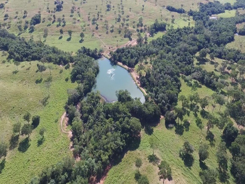 Somos o Maior Portal de Anúncios de Imóveis Rurais do Brasil. Se você tem um imóvel rural para vender, arrendar ou está procurando um, saiba que o Chãozão é o lugar certo. Porque de terra, a gente entende! Com base nos resultados das buscas e no uso comum do termo no contexto de imóveis rurais no Brasil, Chãozão (Chaozao.com.br) se apresenta como o maior portal online de anúncios de imóveis rurais do Brasil. Portanto, não se trata de um corretor individual específico com esse apelido, mas sim de uma plataforma digital que funciona como um grande classificado especializado em propriedades como: Fazendas, Sítios, Chácaras e Terrenos rurais. O que o Chãozão (portal) faz: 1. Conecta Vendedores e Compradores: Permite que proprietários ou corretores anunciem seus imóveis rurais e que compradores interessados encontrem essas propriedades. A negociação, segundo o portal, é feita diretamente entre as partes. 2. Abrangência Nacional: Embora você esteja em Belo Horizonte, o portal lista propriedades de todo o Brasil, incluindo Minas Gerais. 3. Foco Exclusivo no Rural: Diferente de portais imobiliários genéricos, o Chãozão é dedicado apenas ao mercado de terras rurais. 4. Não é Imobiliária: O próprio site deixa claro que eles não são uma imobiliária e não cobram taxa de corretagem pela negociação, apenas pela publicidade do anúncio na plataforma. Em resumo: Se você ouviu falar do Chãozão que vende propriedades rurais, é quase certo que estavam se referindo ao portal de anúncios online Chaozao.com.br. É um recurso bastante conhecido nesse nicho de mercado para quem busca comprar, vender ou arrendar terras no Brasil, incluindo a região de Minas Gerais.