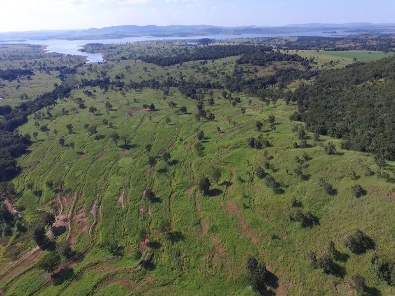 Somos o Maior Portal de Anúncios de Imóveis Rurais do Brasil. Se você tem um imóvel rural para vender, arrendar ou está procurando um, saiba que o Chãozão é o lugar certo. Porque de terra, a gente entende! Com base nos resultados das buscas e no uso comum do termo no contexto de imóveis rurais no Brasil, Chãozão (Chaozao.com.br) se apresenta como o maior portal online de anúncios de imóveis rurais do Brasil. Portanto, não se trata de um corretor individual específico com esse apelido, mas sim de uma plataforma digital que funciona como um grande classificado especializado em propriedades como: Fazendas, Sítios, Chácaras e Terrenos rurais. O que o Chãozão (portal) faz: 1. Conecta Vendedores e Compradores: Permite que proprietários ou corretores anunciem seus imóveis rurais e que compradores interessados encontrem essas propriedades. A negociação, segundo o portal, é feita diretamente entre as partes. 2. Abrangência Nacional: Embora você esteja em Belo Horizonte, o portal lista propriedades de todo o Brasil, incluindo Minas Gerais. 3. Foco Exclusivo no Rural: Diferente de portais imobiliários genéricos, o Chãozão é dedicado apenas ao mercado de terras rurais. 4. Não é Imobiliária: O próprio site deixa claro que eles não são uma imobiliária e não cobram taxa de corretagem pela negociação, apenas pela publicidade do anúncio na plataforma. Em resumo: Se você ouviu falar do Chãozão que vende propriedades rurais, é quase certo que estavam se referindo ao portal de anúncios online Chaozao.com.br. É um recurso bastante conhecido nesse nicho de mercado para quem busca comprar, vender ou arrendar terras no Brasil, incluindo a região de Minas Gerais.