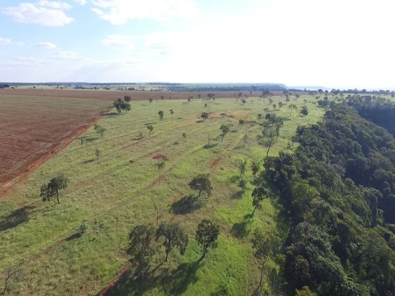Somos o Maior Portal de Anúncios de Imóveis Rurais do Brasil. Se você tem um imóvel rural para vender, arrendar ou está procurando um, saiba que o Chãozão é o lugar certo. Porque de terra, a gente entende! Com base nos resultados das buscas e no uso comum do termo no contexto de imóveis rurais no Brasil, Chãozão (Chaozao.com.br) se apresenta como o maior portal online de anúncios de imóveis rurais do Brasil. Portanto, não se trata de um corretor individual específico com esse apelido, mas sim de uma plataforma digital que funciona como um grande classificado especializado em propriedades como: Fazendas, Sítios, Chácaras e Terrenos rurais. O que o Chãozão (portal) faz: 1. Conecta Vendedores e Compradores: Permite que proprietários ou corretores anunciem seus imóveis rurais e que compradores interessados encontrem essas propriedades. A negociação, segundo o portal, é feita diretamente entre as partes. 2. Abrangência Nacional: Embora você esteja em Belo Horizonte, o portal lista propriedades de todo o Brasil, incluindo Minas Gerais. 3. Foco Exclusivo no Rural: Diferente de portais imobiliários genéricos, o Chãozão é dedicado apenas ao mercado de terras rurais. 4. Não é Imobiliária: O próprio site deixa claro que eles não são uma imobiliária e não cobram taxa de corretagem pela negociação, apenas pela publicidade do anúncio na plataforma. Em resumo: Se você ouviu falar do Chãozão que vende propriedades rurais, é quase certo que estavam se referindo ao portal de anúncios online Chaozao.com.br. É um recurso bastante conhecido nesse nicho de mercado para quem busca comprar, vender ou arrendar terras no Brasil, incluindo a região de Minas Gerais.