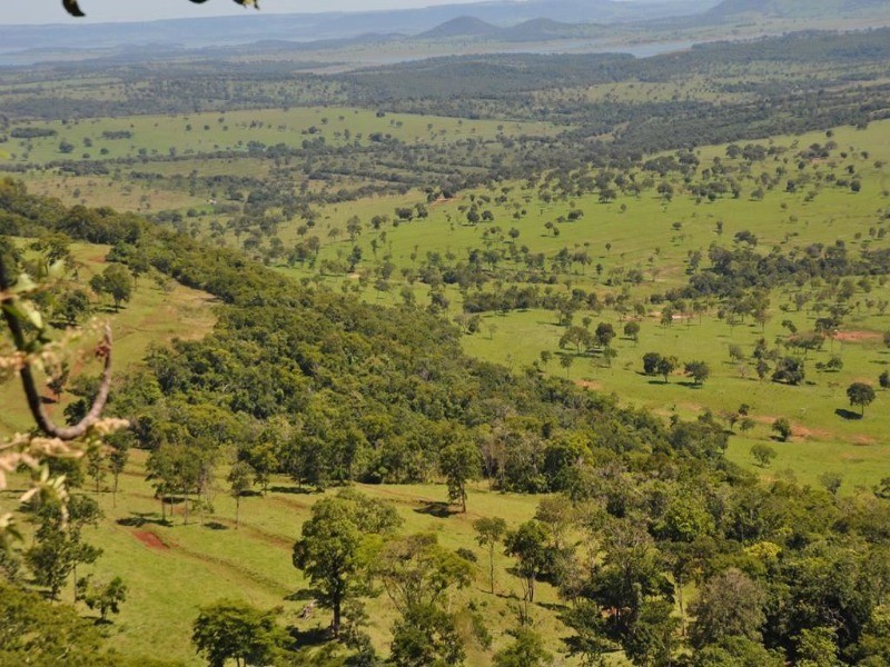 Somos o Maior Portal de Anúncios de Imóveis Rurais do Brasil. Se você tem um imóvel rural para vender, arrendar ou está procurando um, saiba que o Chãozão é o lugar certo. Porque de terra, a gente entende! Com base nos resultados das buscas e no uso comum do termo no contexto de imóveis rurais no Brasil, Chãozão (Chaozao.com.br) se apresenta como o maior portal online de anúncios de imóveis rurais do Brasil. Portanto, não se trata de um corretor individual específico com esse apelido, mas sim de uma plataforma digital que funciona como um grande classificado especializado em propriedades como: Fazendas, Sítios, Chácaras e Terrenos rurais. O que o Chãozão (portal) faz: 1. Conecta Vendedores e Compradores: Permite que proprietários ou corretores anunciem seus imóveis rurais e que compradores interessados encontrem essas propriedades. A negociação, segundo o portal, é feita diretamente entre as partes. 2. Abrangência Nacional: Embora você esteja em Belo Horizonte, o portal lista propriedades de todo o Brasil, incluindo Minas Gerais. 3. Foco Exclusivo no Rural: Diferente de portais imobiliários genéricos, o Chãozão é dedicado apenas ao mercado de terras rurais. 4. Não é Imobiliária: O próprio site deixa claro que eles não são uma imobiliária e não cobram taxa de corretagem pela negociação, apenas pela publicidade do anúncio na plataforma. Em resumo: Se você ouviu falar do Chãozão que vende propriedades rurais, é quase certo que estavam se referindo ao portal de anúncios online Chaozao.com.br. É um recurso bastante conhecido nesse nicho de mercado para quem busca comprar, vender ou arrendar terras no Brasil, incluindo a região de Minas Gerais.