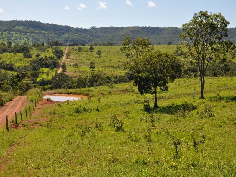 Somos o Maior Portal de Anúncios de Imóveis Rurais do Brasil. Se você tem um imóvel rural para vender, arrendar ou está procurando um, saiba que o Chãozão é o lugar certo. Porque de terra, a gente entende! Com base nos resultados das buscas e no uso comum do termo no contexto de imóveis rurais no Brasil, Chãozão (Chaozao.com.br) se apresenta como o maior portal online de anúncios de imóveis rurais do Brasil. Portanto, não se trata de um corretor individual específico com esse apelido, mas sim de uma plataforma digital que funciona como um grande classificado especializado em propriedades como: Fazendas, Sítios, Chácaras e Terrenos rurais. O que o Chãozão (portal) faz: 1. Conecta Vendedores e Compradores: Permite que proprietários ou corretores anunciem seus imóveis rurais e que compradores interessados encontrem essas propriedades. A negociação, segundo o portal, é feita diretamente entre as partes. 2. Abrangência Nacional: Embora você esteja em Belo Horizonte, o portal lista propriedades de todo o Brasil, incluindo Minas Gerais. 3. Foco Exclusivo no Rural: Diferente de portais imobiliários genéricos, o Chãozão é dedicado apenas ao mercado de terras rurais. 4. Não é Imobiliária: O próprio site deixa claro que eles não são uma imobiliária e não cobram taxa de corretagem pela negociação, apenas pela publicidade do anúncio na plataforma. Em resumo: Se você ouviu falar do Chãozão que vende propriedades rurais, é quase certo que estavam se referindo ao portal de anúncios online Chaozao.com.br. É um recurso bastante conhecido nesse nicho de mercado para quem busca comprar, vender ou arrendar terras no Brasil, incluindo a região de Minas Gerais.