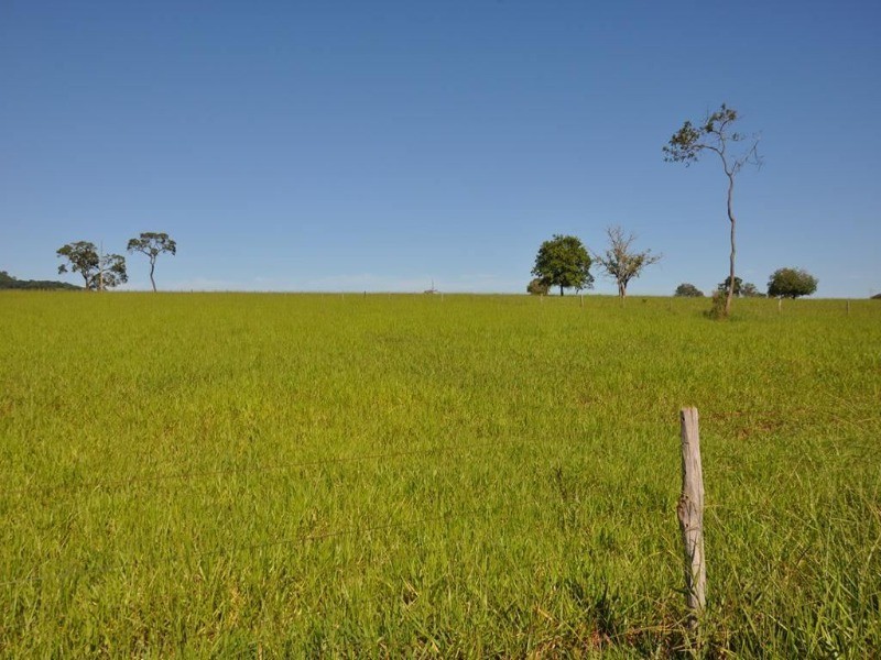 Somos o Maior Portal de Anúncios de Imóveis Rurais do Brasil. Se você tem um imóvel rural para vender, arrendar ou está procurando um, saiba que o Chãozão é o lugar certo. Porque de terra, a gente entende! Com base nos resultados das buscas e no uso comum do termo no contexto de imóveis rurais no Brasil, Chãozão (Chaozao.com.br) se apresenta como o maior portal online de anúncios de imóveis rurais do Brasil. Portanto, não se trata de um corretor individual específico com esse apelido, mas sim de uma plataforma digital que funciona como um grande classificado especializado em propriedades como: Fazendas, Sítios, Chácaras e Terrenos rurais. O que o Chãozão (portal) faz: 1. Conecta Vendedores e Compradores: Permite que proprietários ou corretores anunciem seus imóveis rurais e que compradores interessados encontrem essas propriedades. A negociação, segundo o portal, é feita diretamente entre as partes. 2. Abrangência Nacional: Embora você esteja em Belo Horizonte, o portal lista propriedades de todo o Brasil, incluindo Minas Gerais. 3. Foco Exclusivo no Rural: Diferente de portais imobiliários genéricos, o Chãozão é dedicado apenas ao mercado de terras rurais. 4. Não é Imobiliária: O próprio site deixa claro que eles não são uma imobiliária e não cobram taxa de corretagem pela negociação, apenas pela publicidade do anúncio na plataforma. Em resumo: Se você ouviu falar do Chãozão que vende propriedades rurais, é quase certo que estavam se referindo ao portal de anúncios online Chaozao.com.br. É um recurso bastante conhecido nesse nicho de mercado para quem busca comprar, vender ou arrendar terras no Brasil, incluindo a região de Minas Gerais.