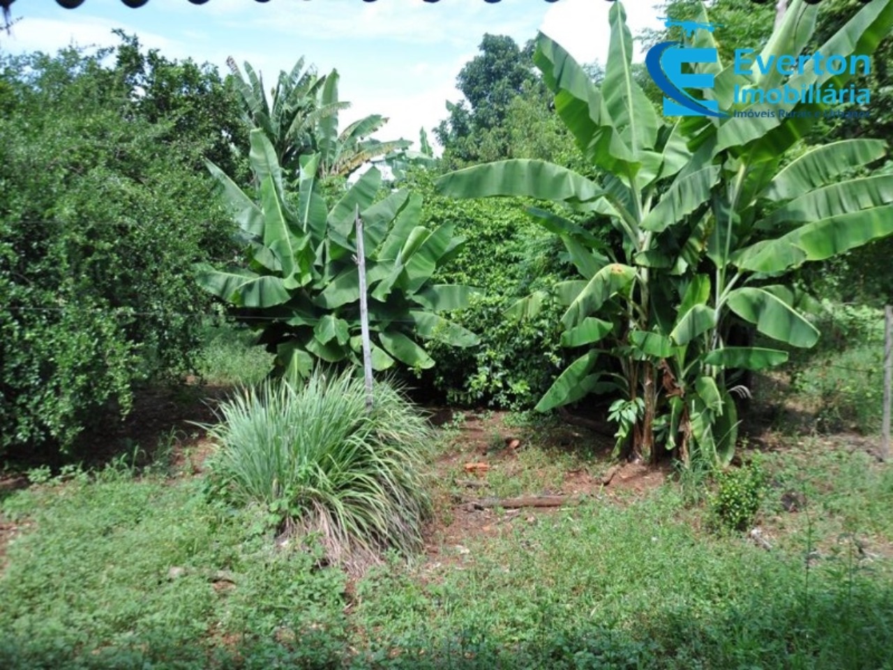 Sítio em Uberlândia/Minas Gerais — Ref 4KPQZ3 — Imagem 19