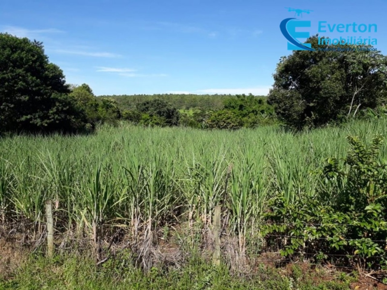 Sítio em Uberlândia/Minas Gerais — Ref 4KPQZ3 — Imagem 21