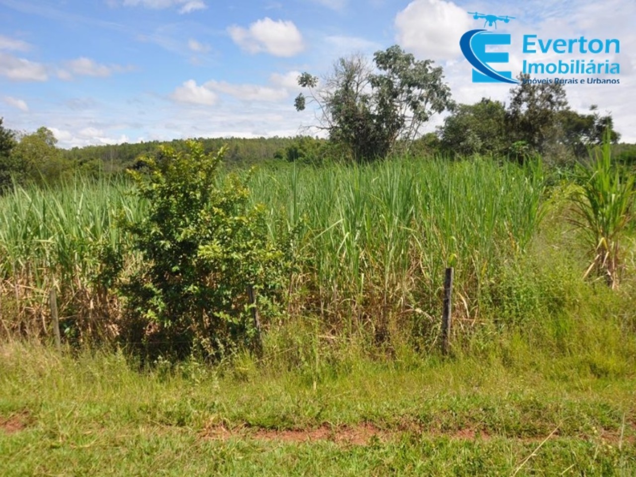 Sítio em Uberlândia/Minas Gerais — Ref 4KPQZ3 — Imagem 22