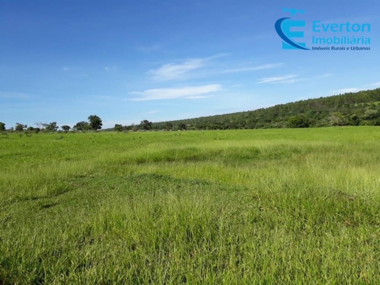 Sítio em Uberlândia/Minas Gerais — Ref 4KPQZ3 — Imagem 28