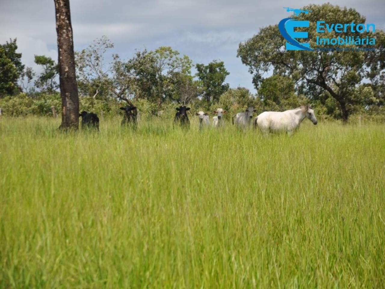 Sítio em Uberlândia/Minas Gerais — Ref 4KPQZ3 — Imagem 27