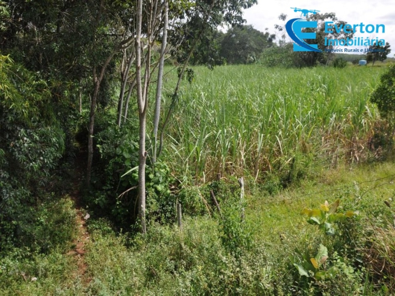 Sítio em Uberlândia/Minas Gerais — Ref 4KPQZ3 — Imagem 23