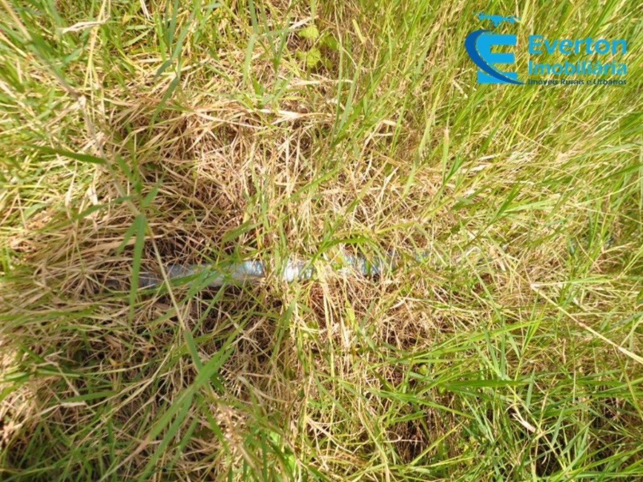 Sítio em Uberlândia/Minas Gerais — Ref 4KPQZ3 — Imagem 26