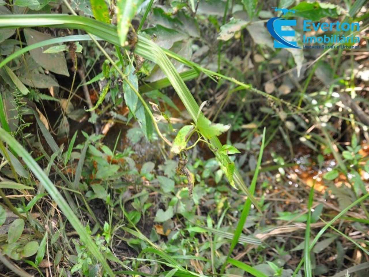 Sítio em Uberlândia/Minas Gerais — Ref 4KPQZ3 — Imagem 24