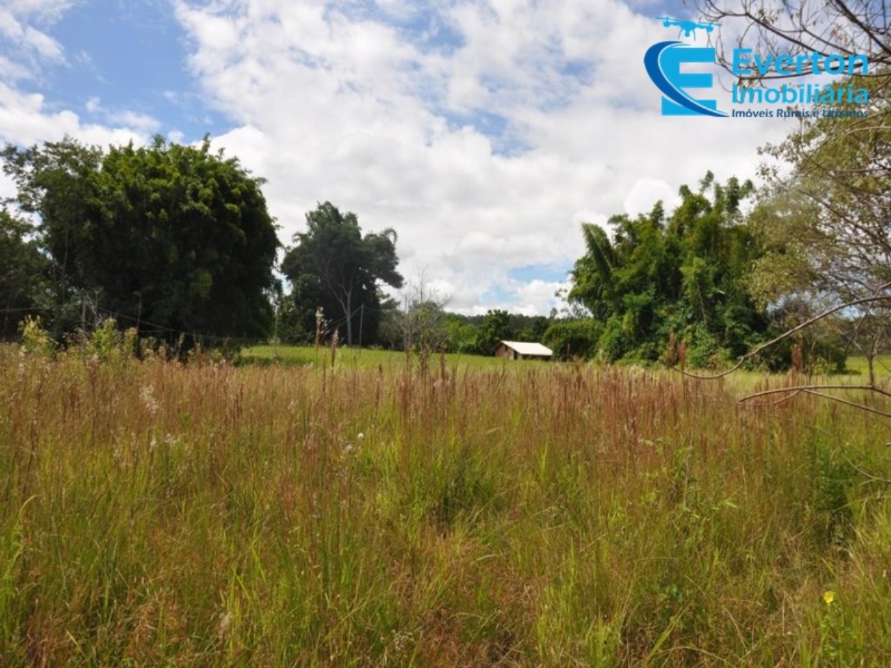 Sítio em Uberlândia/Minas Gerais — Ref 4KPQZ3 — Imagem 34