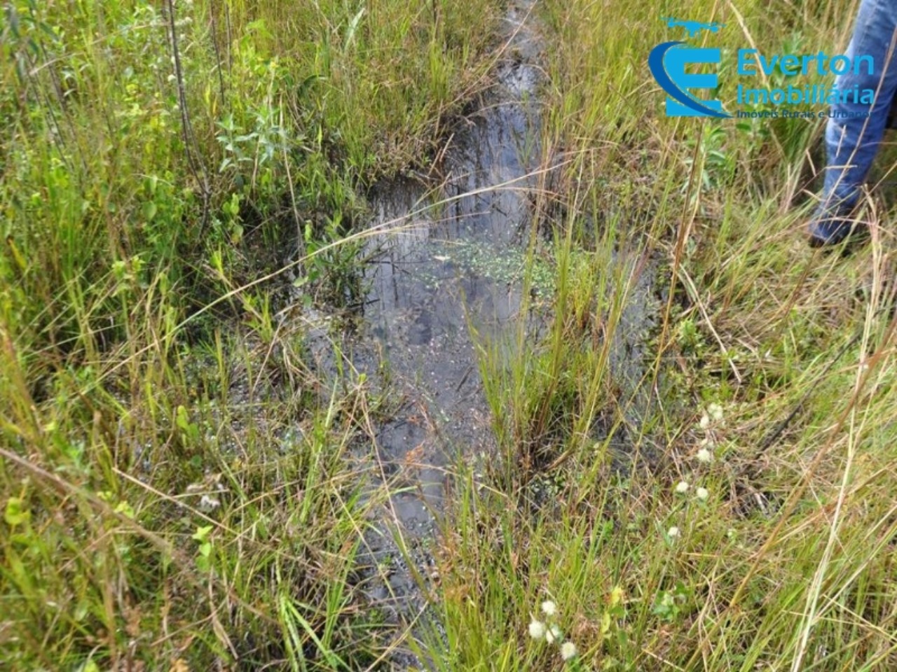 Sítio em Uberlândia/Minas Gerais — Ref 4KPQZ3 — Imagem 15