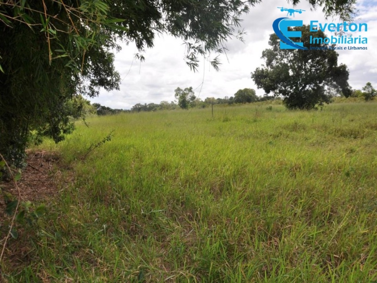 Sítio em Uberlândia/Minas Gerais — Ref 4KPQZ3 — Imagem 31