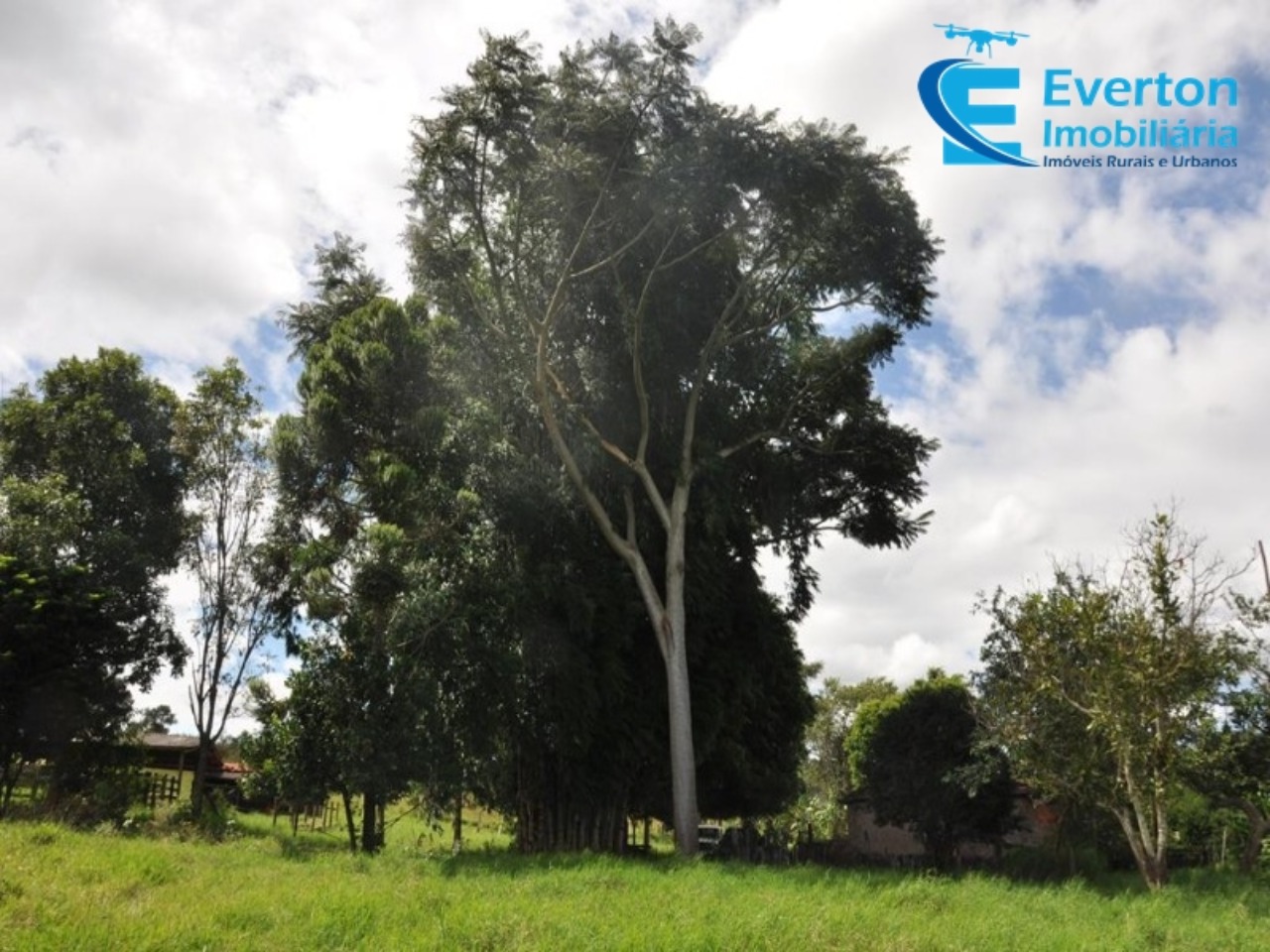 Sítio em Uberlândia/Minas Gerais — Ref 4KPQZ3 — Imagem 37